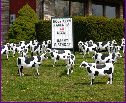Lawn Announcement Cows